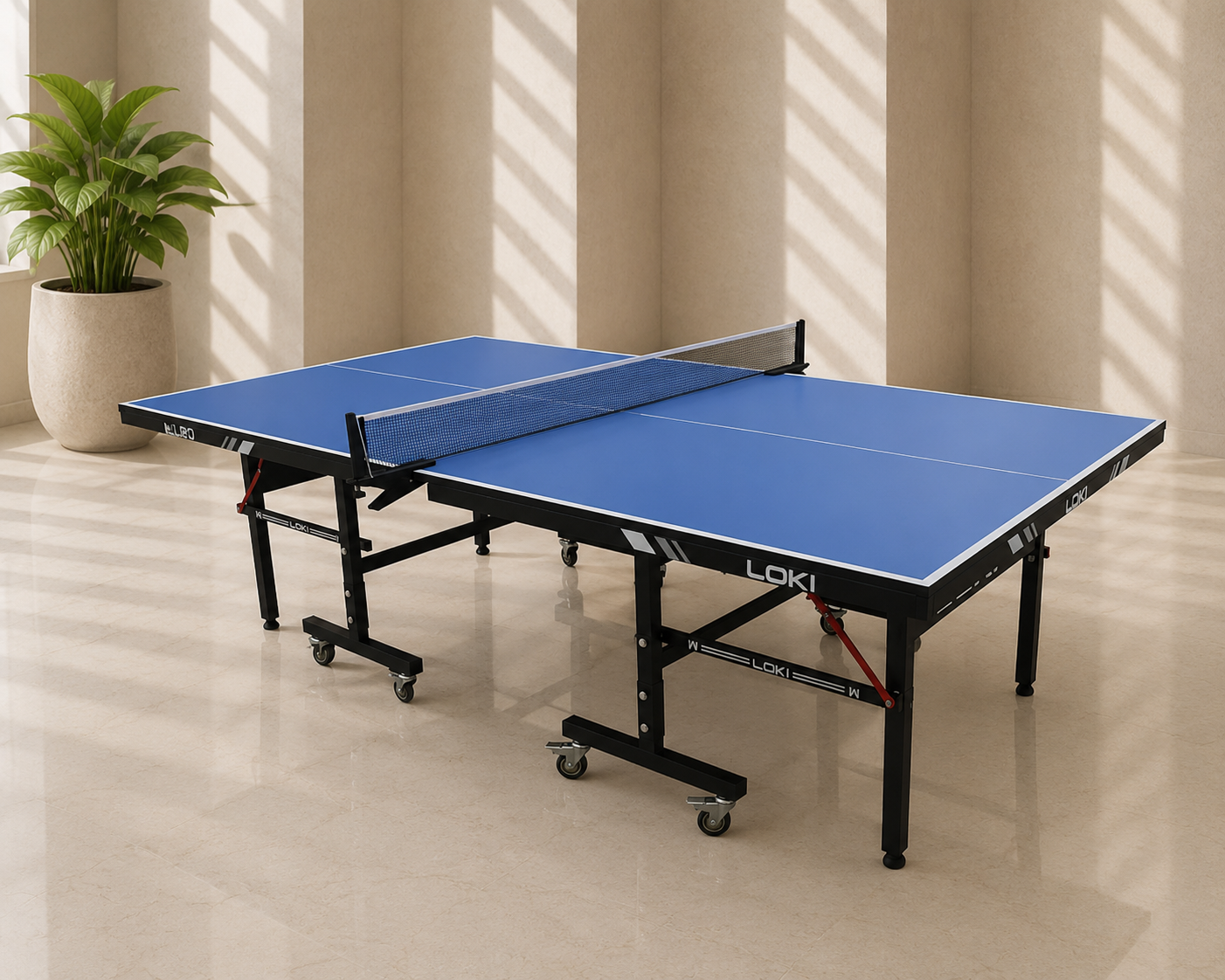 Table Tennis Indoor Pro