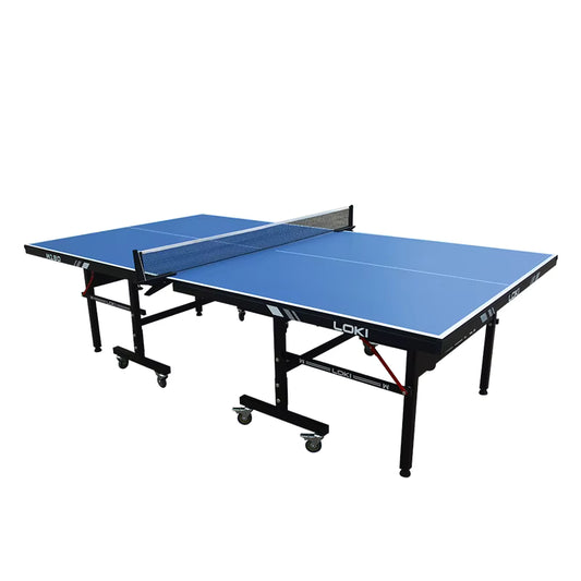 Table Tennis Indoor Pro